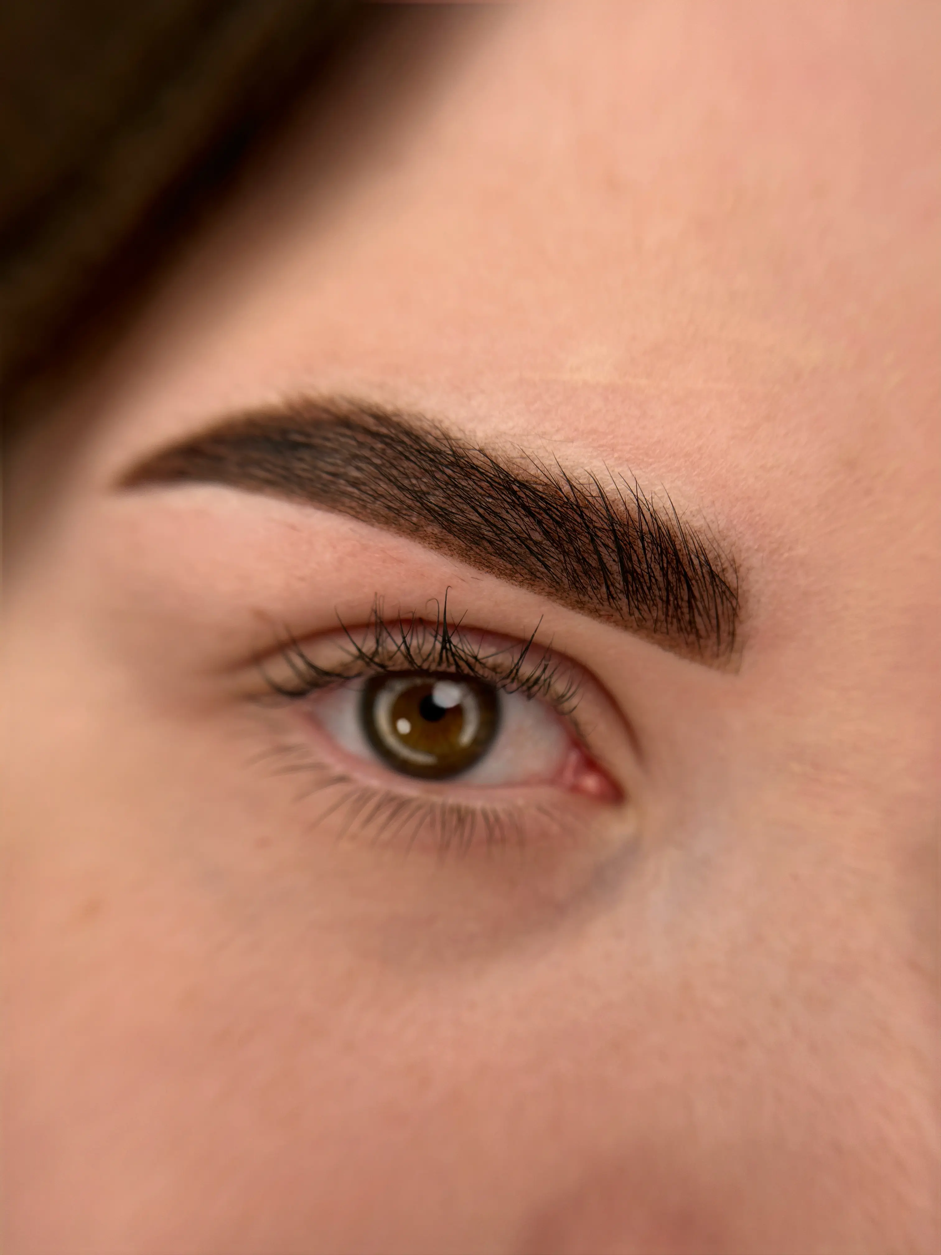 Пример работы: пудровые брови